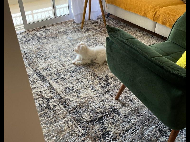 Apartamento à venda Cidade Nova I com 110m² e 3 quartos por R$ 730.000 - 384846823-sala-de-estar.jpg