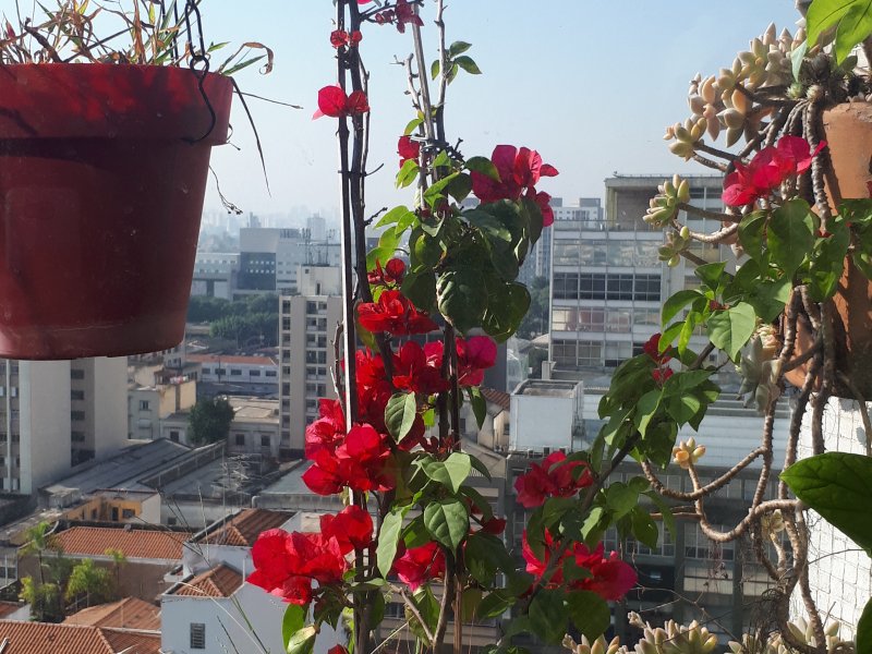 Apartamento à venda Santa Cecília com 56m² e 1 quarto por R$ 310.000 - 405940593-20220701-135846.jpg