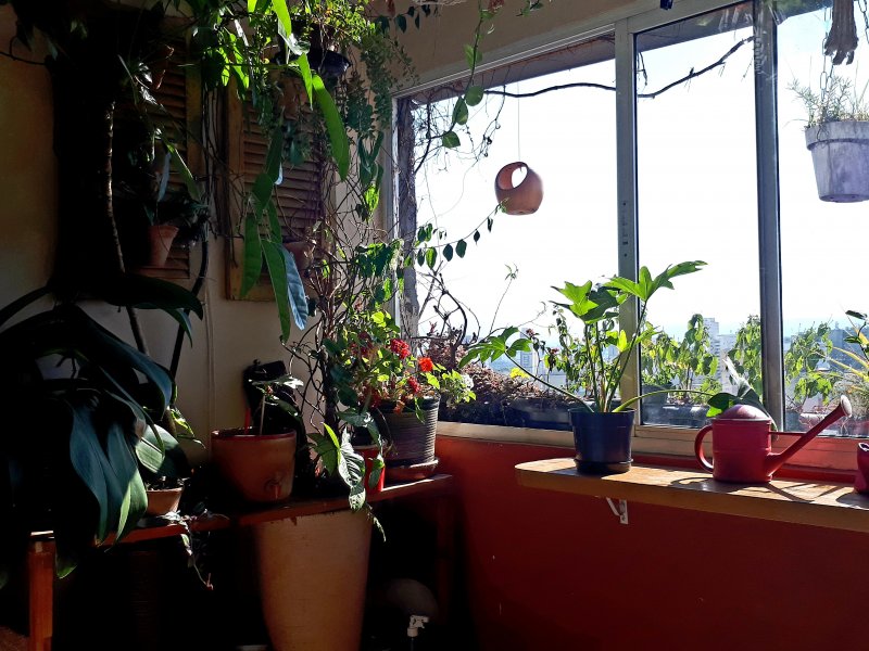 Apartamento à venda Santa Cecília com 56m² e 1 quarto por R$ 310.000 - 538753058-20220630-111606.jpg