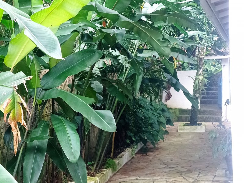 Casa à venda Borrifos com 580m² e 3 quartos por R$ 950.000 - 817984272-img-20220514-124334.jpg