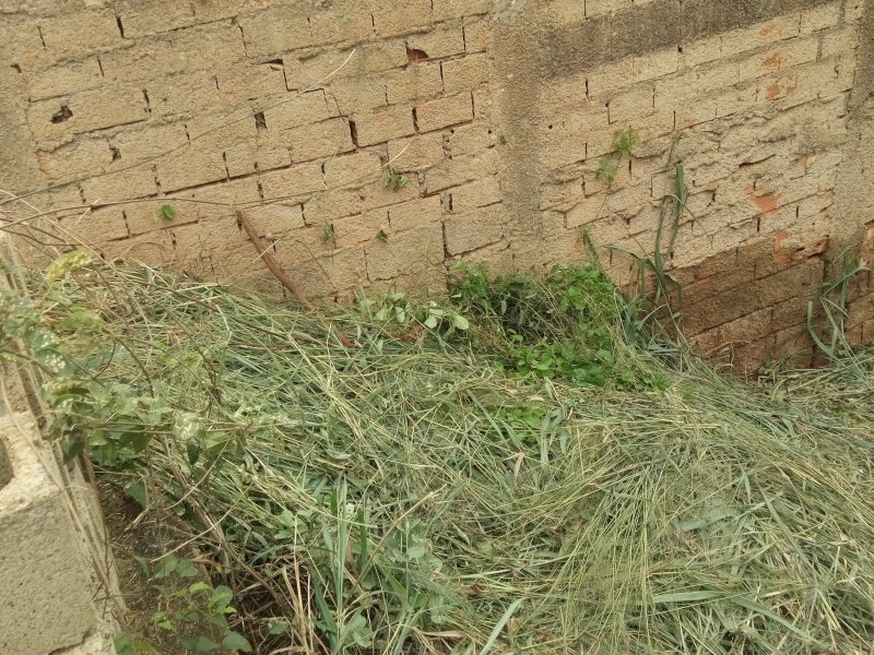 Terreno à venda Jardim Anhangüera com 136m² e 1 quarto por R$ 185.000 - 515559117-20181122-083043.jpg