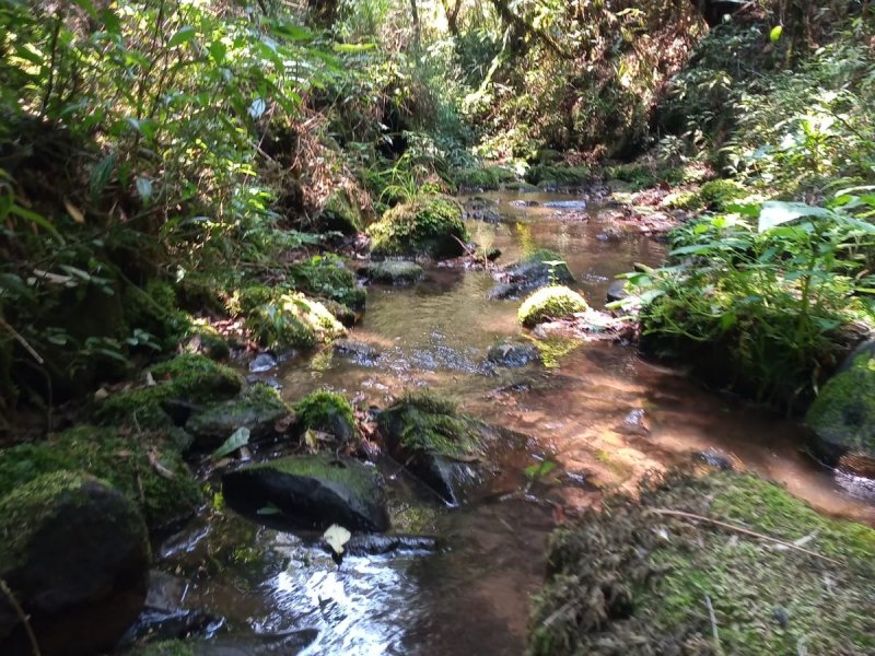 Sítio à venda Centro com 20000m² e 1 quarto por R$ 1.770.000 - 1227762087-rio.jpg