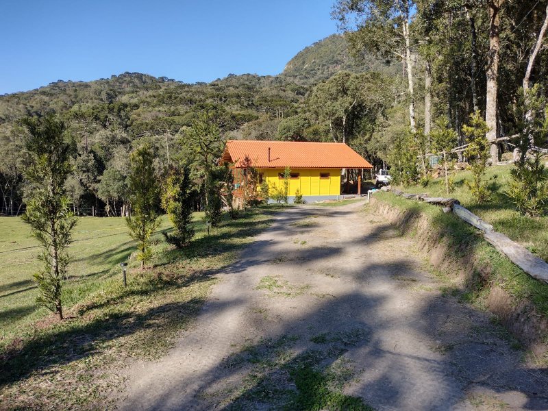 Sítio à venda Centro com 20000m² e 1 quarto por R$ 1.770.000 - 1282577121-casa-podocarpo.jpg