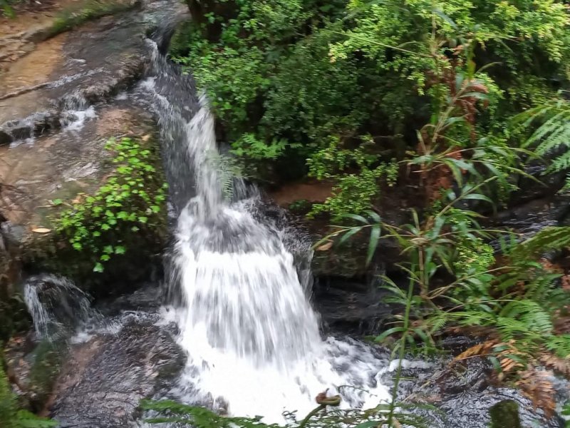 Sítio à venda Centro com 20000m² e 1 quarto por R$ 1.770.000 - 1297270314-cachoeira-spa-2.jpg