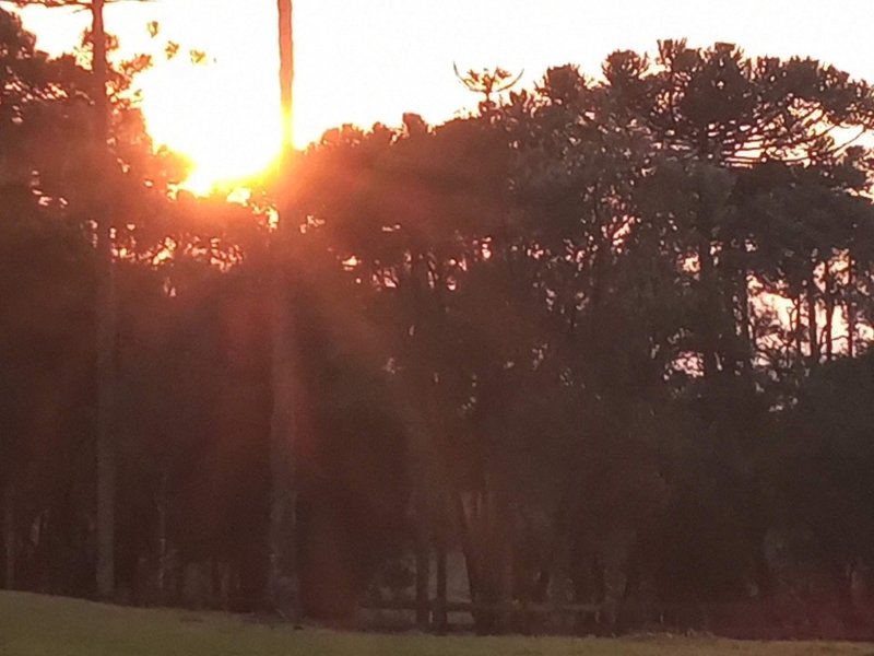 Sítio à venda Centro com 20000m² e 1 quarto por R$ 1.770.000 - 1976468918-por-do-sol.jpg