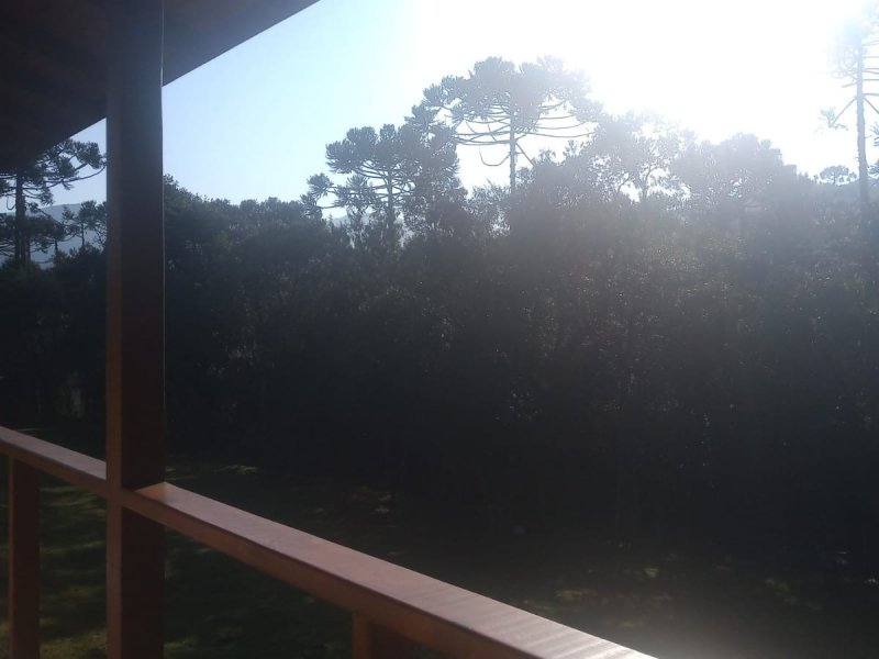 Sítio à venda Centro com 20000m² e 1 quarto por R$ 1.770.000 - 197931227-vista-deck-lateral-das-araucarias.jpg