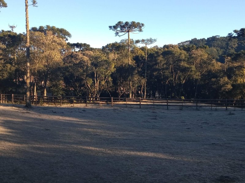 Sítio à venda Centro com 20000m² e 1 quarto por R$ 1.770.000 - 2022160253-patio-geada.jpg