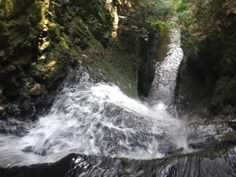 Sítio à venda Centro com 20000m² e 1 quarto por R$ 1.770.000 - 260111508-cachoeira-10-metros.jpg