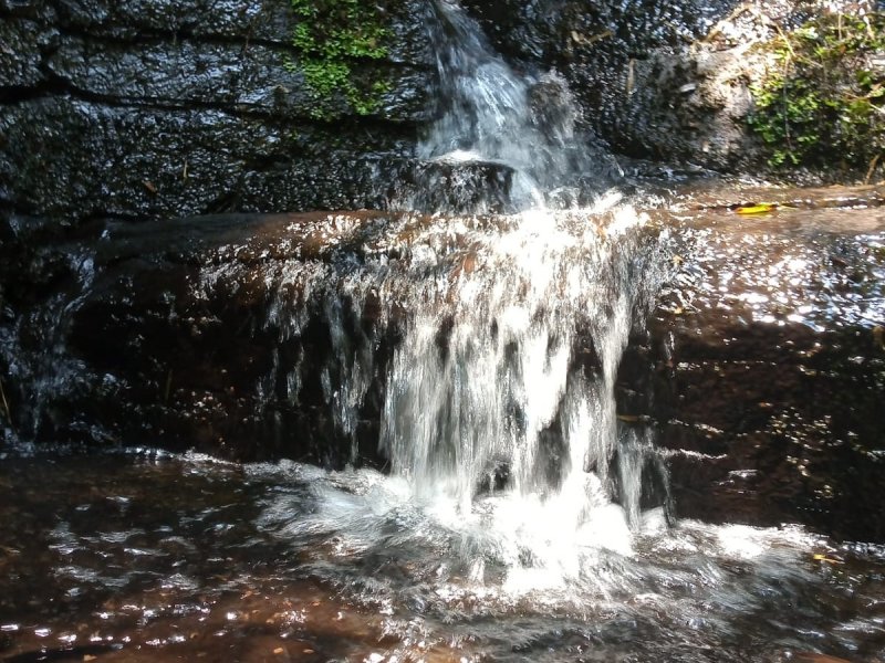 Sítio à venda Centro com 20000m² e 1 quarto por R$ 1.770.000 - 640810164-nascente.jpg