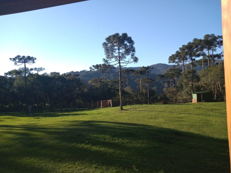 Sítio à venda Centro com 20000m² e 1 quarto por R$ 1.770.000 - 75777648-patio-araucaria-2.jpg