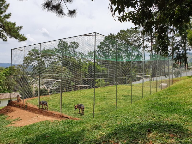 Chácara à venda Chácaras Fernão Dias com 400m² e 4 quartos por R$ 1.300.000 - 1012020768-img-20211202-wa0170.jpg