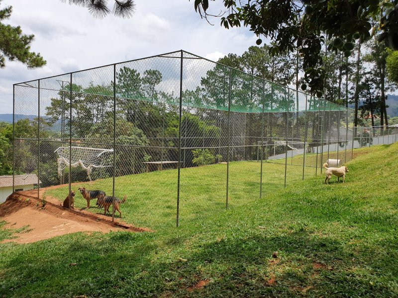 Chácara à venda Chácaras Fernão Dias com 400m² e 4 quartos por R$ 1.300.000 - 1096396683-img-20211202-wa0220.jpg