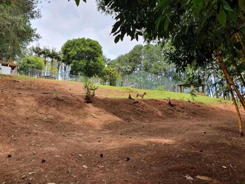 Chácara à venda Chácaras Fernão Dias com 400m² e 4 quartos por R$ 1.300.000 - 1138157281-img-20211202-wa0161.jpg