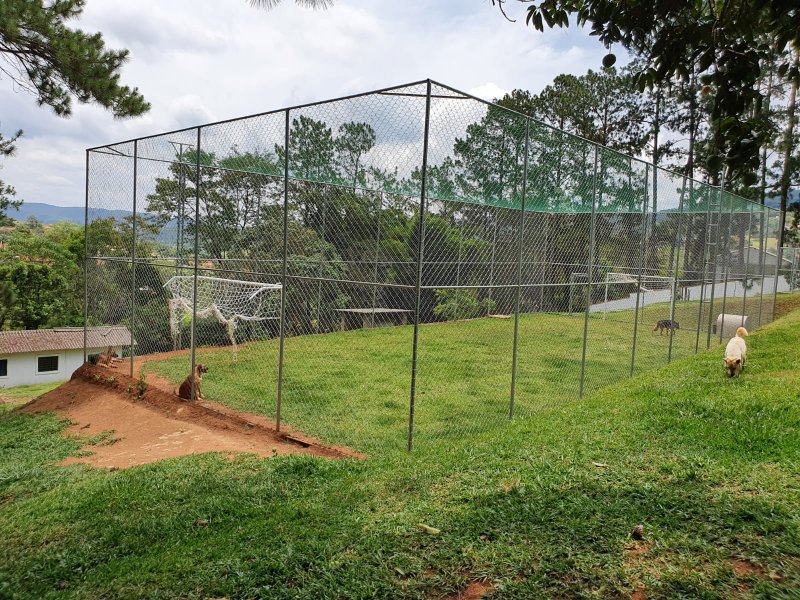 Chácara à venda Chácaras Fernão Dias com 400m² e 4 quartos por R$ 1.300.000 - 1171866101-img-20211202-wa0237.jpg