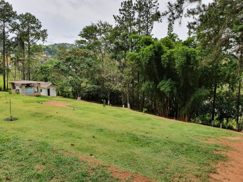 Chácara à venda Chácaras Fernão Dias com 400m² e 4 quartos por R$ 1.300.000 - 1357373375-img-20211202-wa0185.jpg