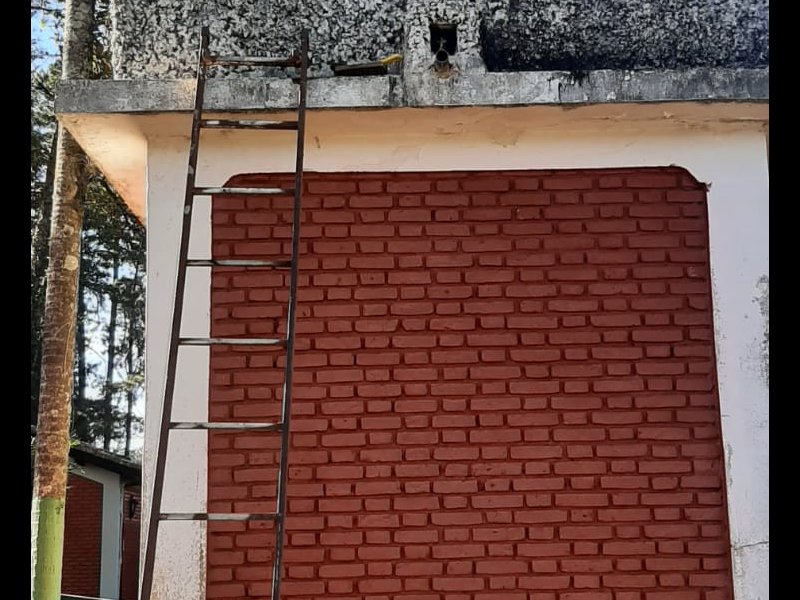 Chácara à venda Chácaras Fernão Dias com 400m² e 4 quartos por R$ 1.300.000 - 1700238246-img-20220713-wa0015.jpg