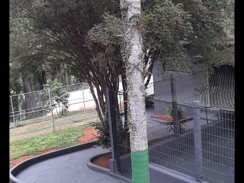 Chácara à venda Chácaras Fernão Dias com 400m² e 4 quartos por R$ 1.300.000 - 20381329-img-20220401-wa0013.jpg