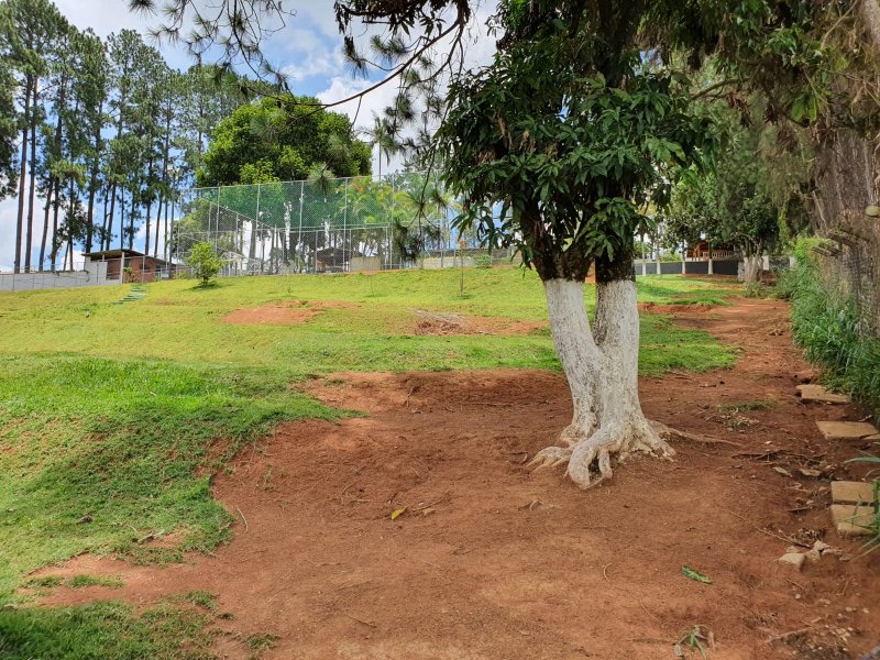 Chácara à venda Chácaras Fernão Dias com 400m² e 4 quartos por R$ 1.300.000 - 5537892-img-20211202-wa0164.jpg