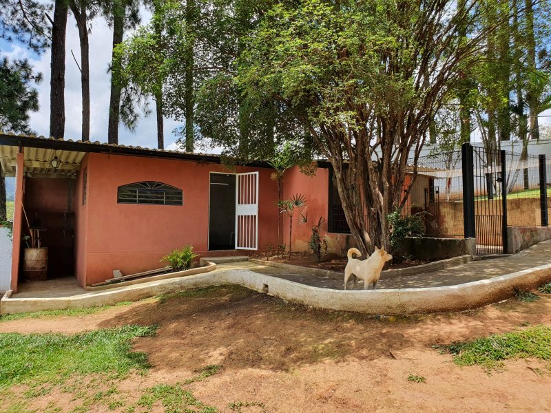 Chácara à venda Chácaras Fernão Dias com 400m² e 4 quartos por R$ 1.300.000 - 564890938-img-20211202-wa0248.jpg