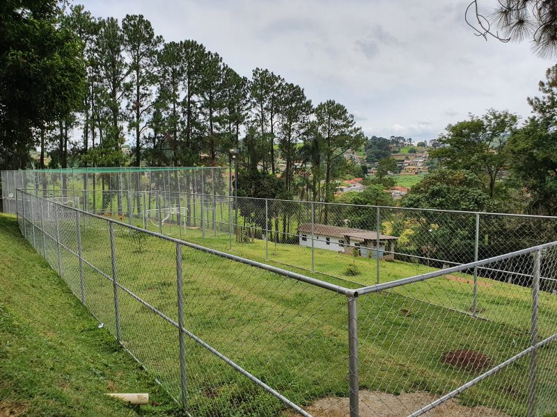 Chácara à venda Chácaras Fernão Dias com 400m² e 4 quartos por R$ 1.300.000 - 714922818-img-20211202-wa0207.jpg