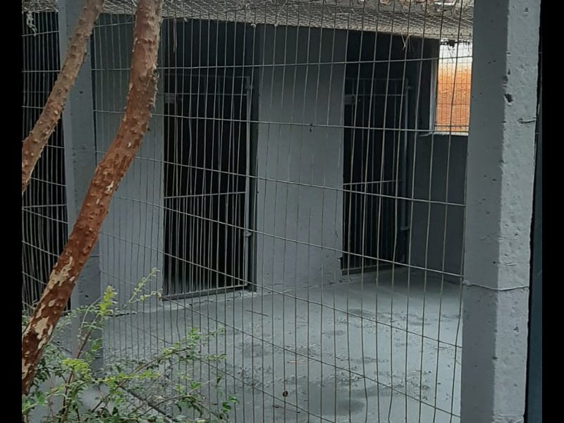 Chácara à venda Chácaras Fernão Dias com 400m² e 4 quartos por R$ 1.300.000 - 871291500-img-20220401-wa0023.jpg