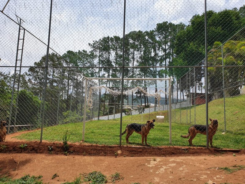 Chácara à venda Chácaras Fernão Dias com 400m² e 4 quartos por R$ 1.300.000 - 900191978-img-20211202-wa0169.jpg