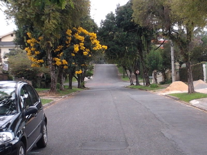 Apartamento à venda Mercês com 80m² e 3 quartos por R$ 450.000 - 1535153150-visao-da-rua-1.jpg