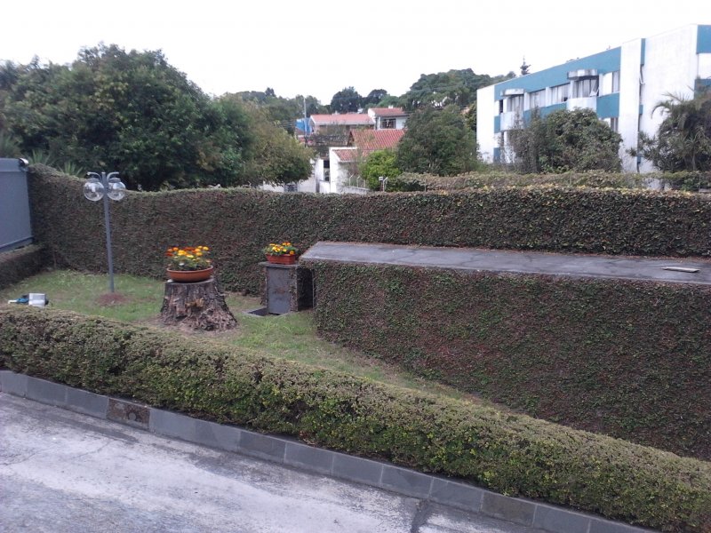 Apartamento à venda Mercês com 80m² e 3 quartos por R$ 450.000 - 2026203419-rampa-para-acesso-a-garagem.jpg