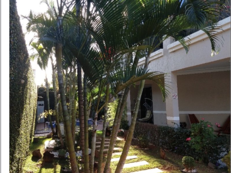 Casa à venda Taguatinga Norte (Taguatinga) com 450m² e 4 quartos por R$ 1.600.000 - 612525657-0bdf52e9-b516-4877-a0d9-946567bec569.jpeg