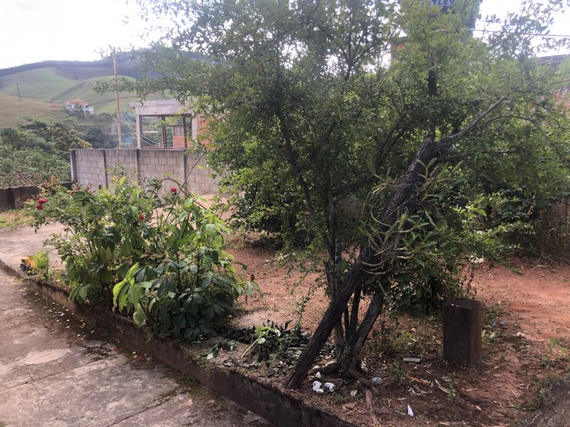 Casa à venda Centro com 500m² e 5 quartos por R$ 530.000 - 1257763237-8a7f5839-21b3-449b-9ca8-6e23e4adad0f.jpeg