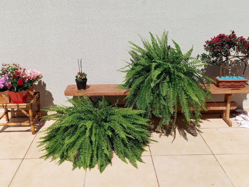 Apartamento à venda Neva com 285m² e 4 quartos por R$ 1.500.000 - 225042303-terraco.jpg