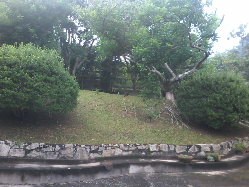 Casa à venda Itaipava com 384m² e 5 quartos por R$ 1.200.000 - 2011722981-20160220-074838.jpg