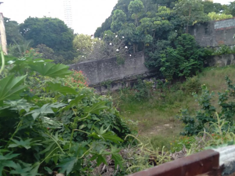 Terreno à venda Ponta Negra com 702m² e 1 quarto por R$ 460.000 - 526224528-foto-i.jpg