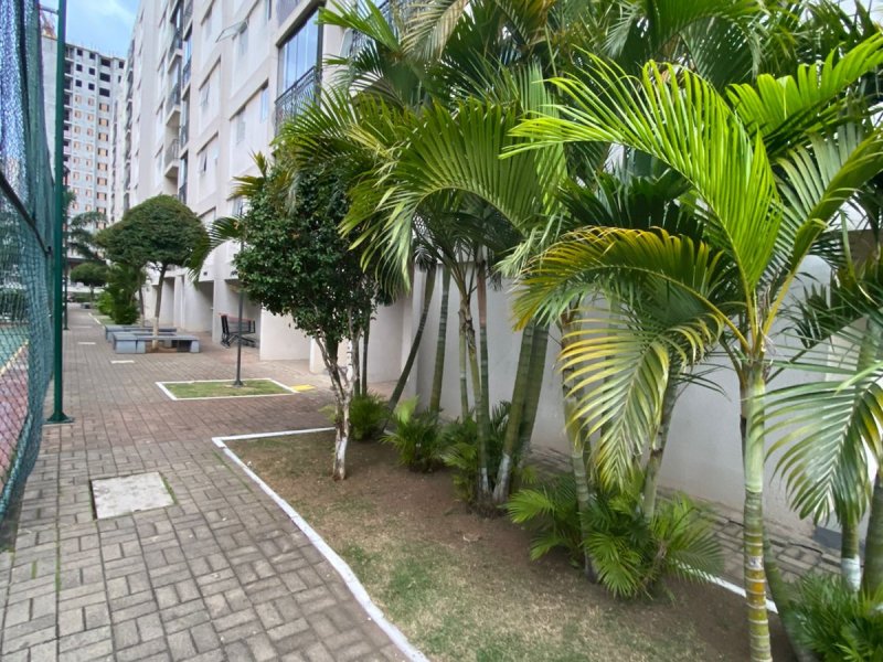 Apartamento à venda city jaragua com 52m² e 2 quartos por R$ 290.000 - 178459371-img-20220808-wa0043.jpg
