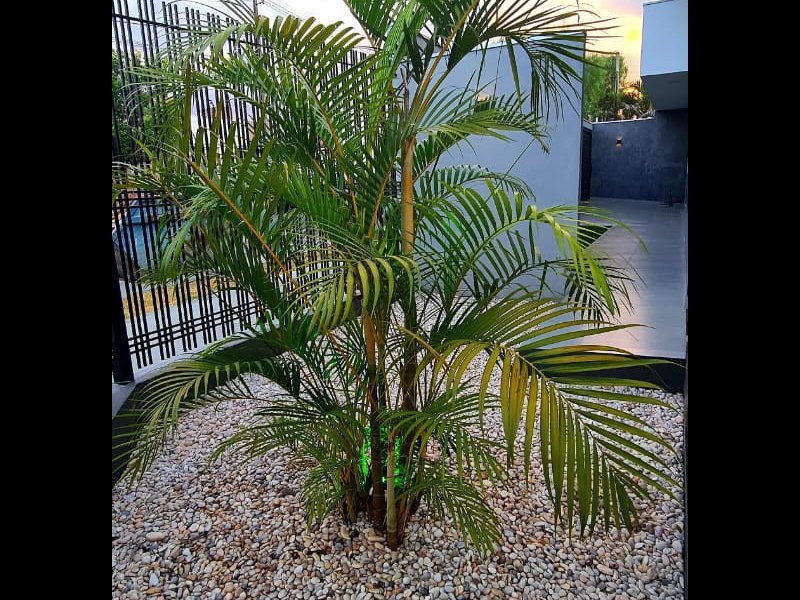 Casa à venda Jardim Monte Rei com 210m² e 3 quartos por R$ 750.000 - 1892931112-25e7f0c4-ad2c-41e1-8f58-9c058a3a3723.jpeg