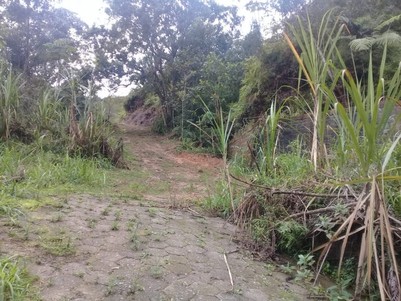 Sítio à venda Centro com 169000m² e 5 quartos por R$ 1.960.000 - 1883380067-engenho11.jpg