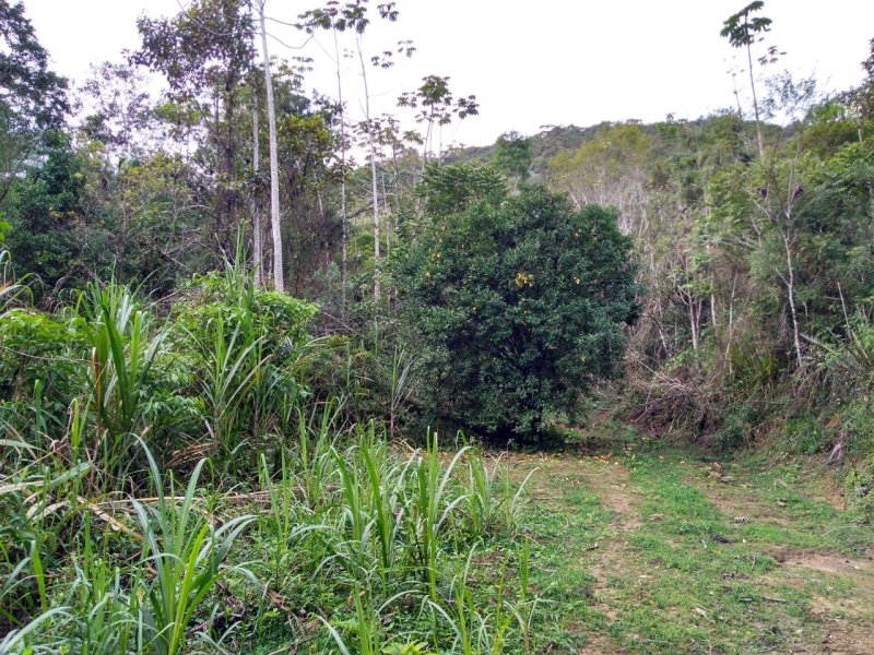 Sítio à venda Centro com 169000m² e 5 quartos por R$ 1.960.000 - 311752888-terrenos4.jpg