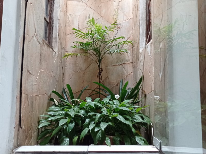 Casa à venda Costeira com 140m² e 3 quartos por R$ 585.000 - 101061631-img-20220627-124617.jpg