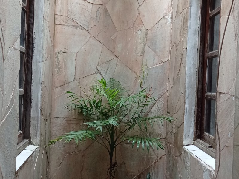 Casa à venda Costeira com 140m² e 3 quartos por R$ 585.000 - 1226228474-img-20220627-124104.jpg