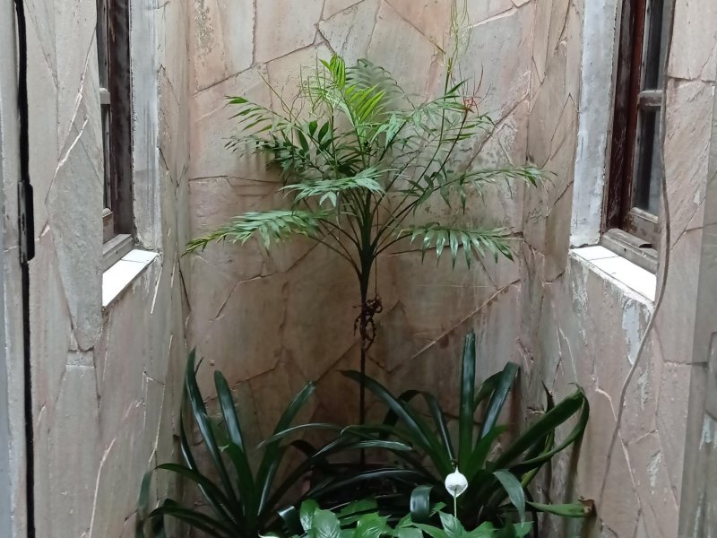 Casa à venda Costeira com 140m² e 3 quartos por R$ 585.000 - 873281476-img-20220627-124109.jpg