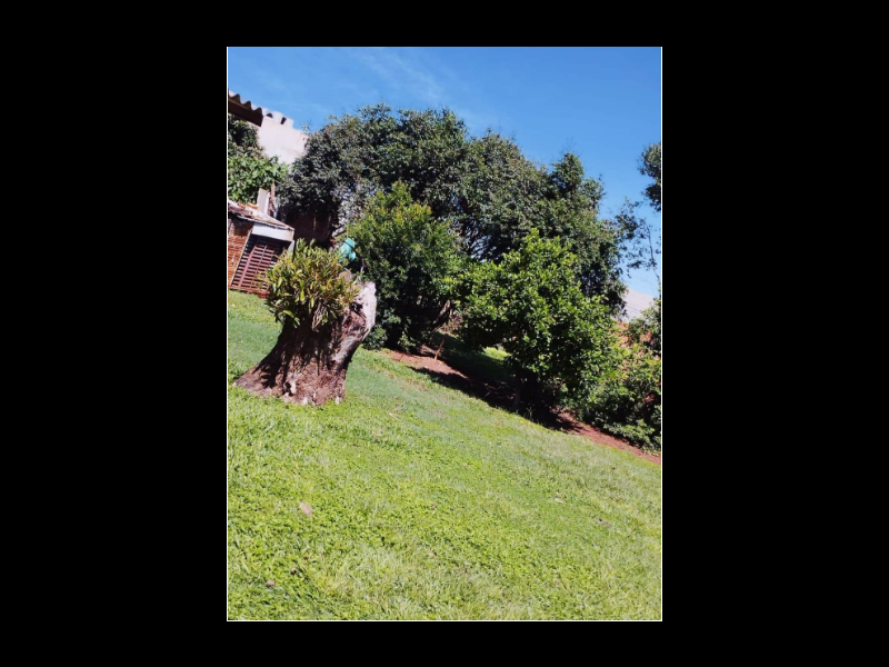 Casa à venda Jardim Concórdia com 588m² e 3 quartos por R$ 590.000 - 68708860-capturar2.PNG