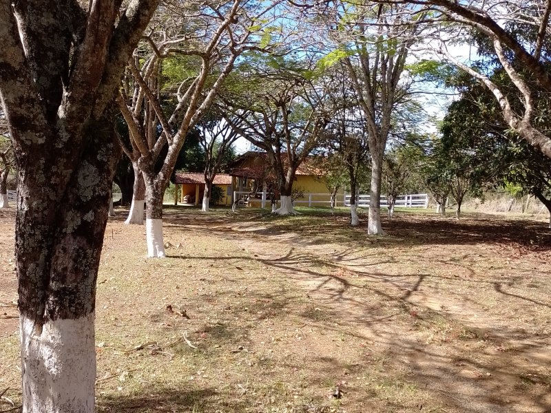 Sítio à venda Centro com 39000m² e 3 quartos por R$ 1.100.000 - 2102891786-img-20220812-101719.jpg