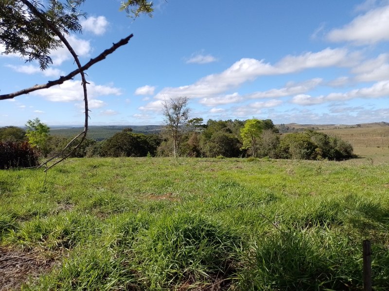 Sítio à venda Centro com 39000m² e 3 quartos por R$ 1.100.000 - 267528575-img-20220812-101414.jpg