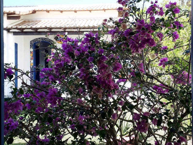 Casa à venda Figueira com 201m² e 2 quartos por R$ 450.000 - 1378203387-20220721-152627.jpg