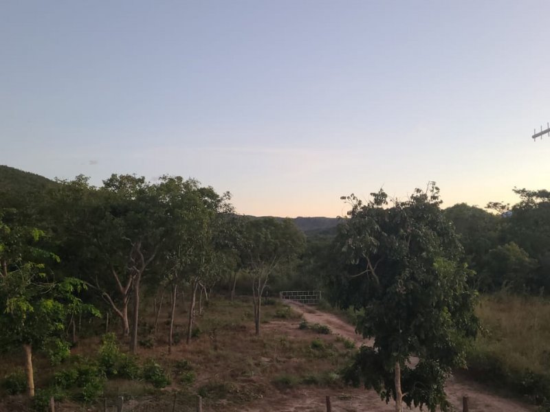 Chácara à venda Centro com 49m² e 2 quartos por R$ 600 - 1905799301-foto-11.jpeg