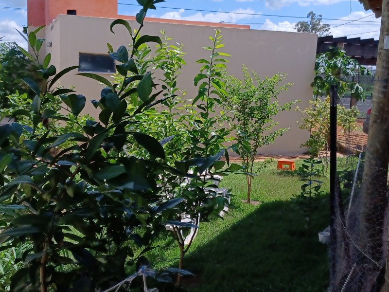 Casa à venda Jardim Botanico com 800m² e 4 quartos por R$ 1.450.000 - 1567951592-pomar-vista-escrit.jpg