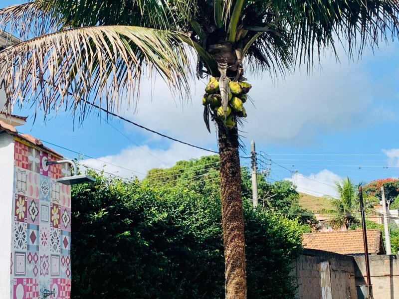 Terreno à venda Centro com 333m² e 1 quarto por R$ 260.000 - 741561050-9a14153a-44f7-451b-94e7-c7743ab32829.jpeg