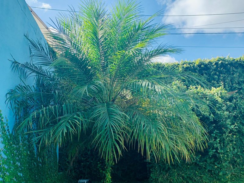 Terreno à venda Centro com 333m² e 1 quarto por R$ 260.000 - 883412354-3efea5d7-d31c-42b7-9830-e96bb1c2af4f.jpeg