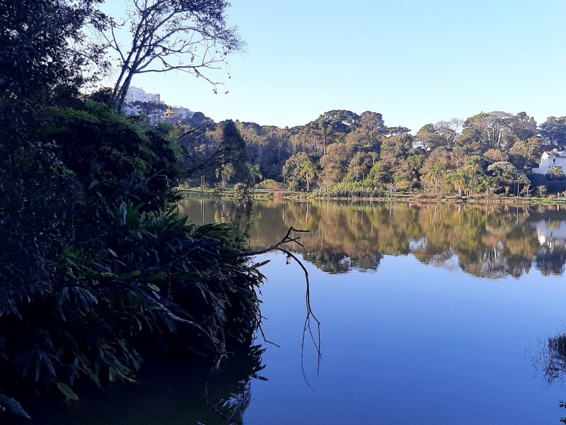 Apartamento à venda Bacacheri com 108m² e 3 quartos por R$ 700.000 - 2092163984-whatsapp-image-2022-08-07-at-20.jpeg