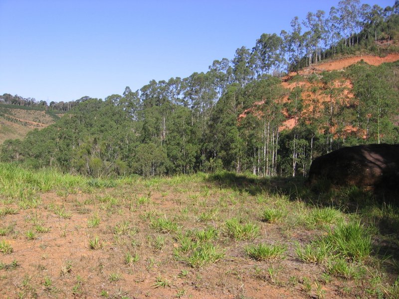 Terreno à venda Centro com 101751m² e 1 quarto por R$ 550.000 - 1236302549-img-1651-2.JPG